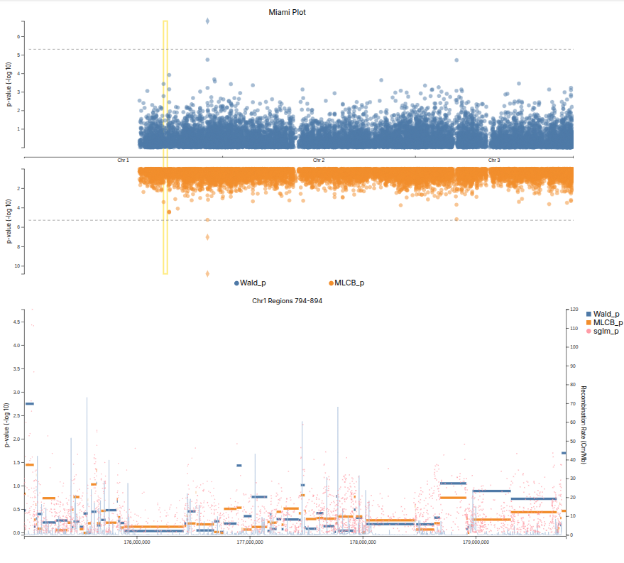 visualization